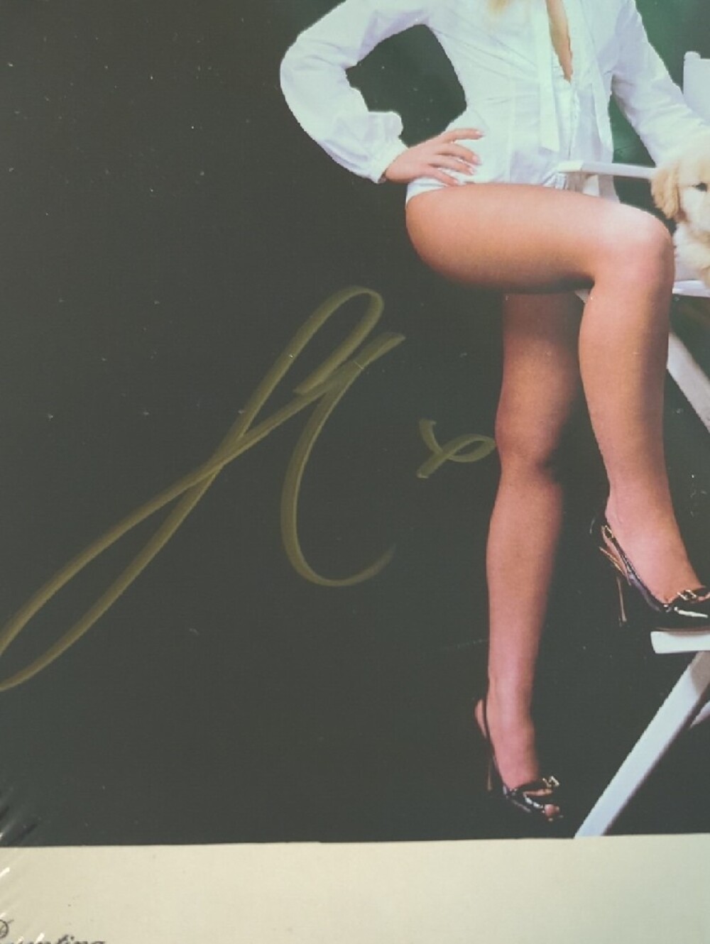 Sabrina Carpenter Man's Best Friend Standard LP  SIGNED  Brand New Sealed - Picture 2 of 8
